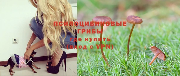гашик Верхнеуральск